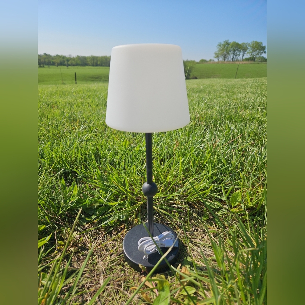 New Metal Black Modern Design 15-in Table Lamp With USB Connection